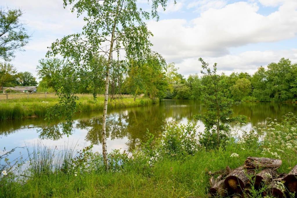 L'Evasion En Pierre Piscine Et Etang Prive Villa Sevremoine ภายนอก รูปภาพ