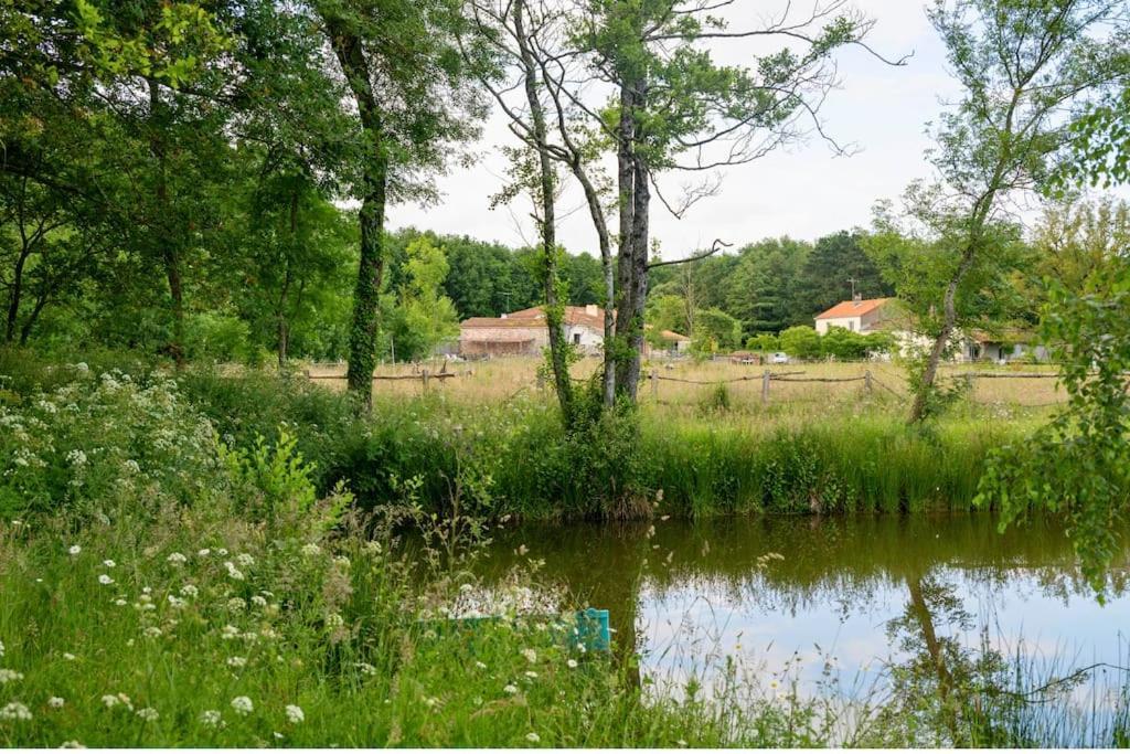 L'Evasion En Pierre Piscine Et Etang Prive Villa Sevremoine ภายนอก รูปภาพ